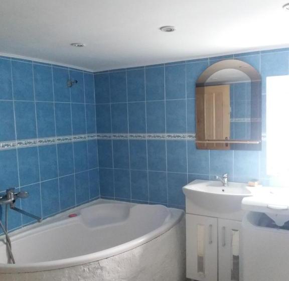 پانسیون колорит