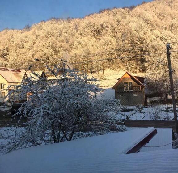 Pension біля комори