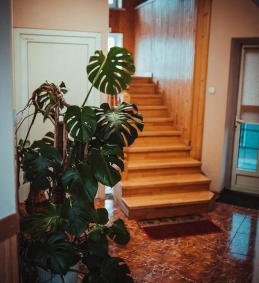 Пансион дідів рай