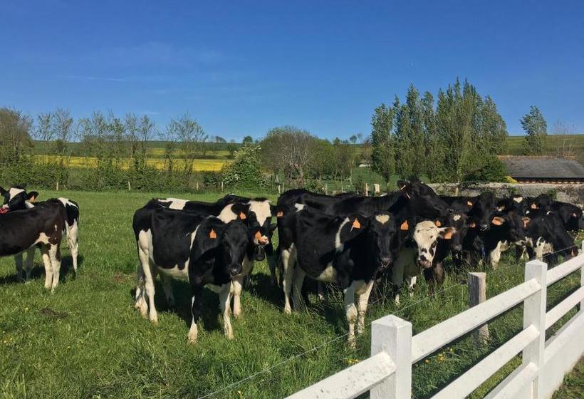 펜션 B&b De Saint Come De Fresne