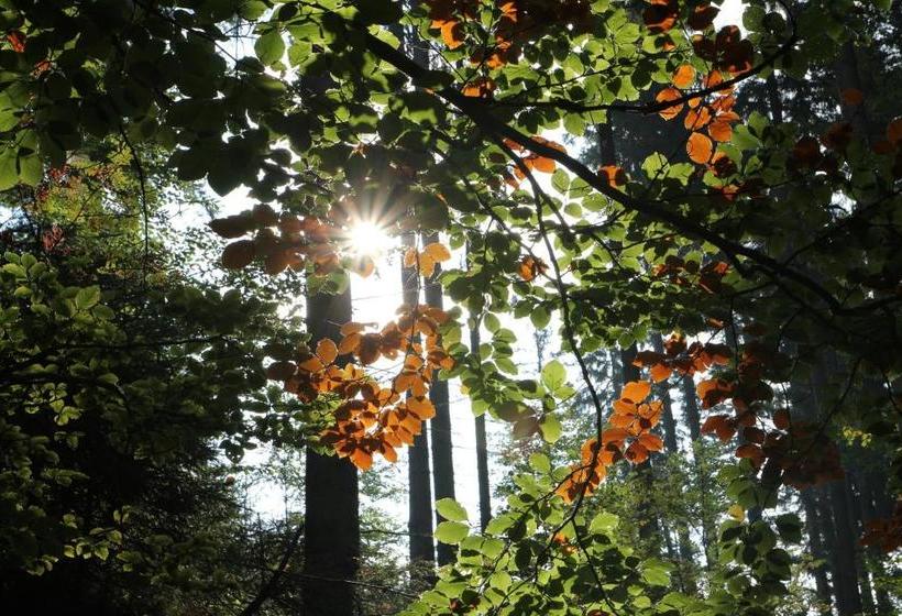 펜션 Chata   Sport   Ski