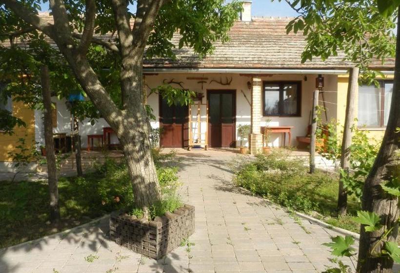 بنسيون Flóra Vendégház Tass