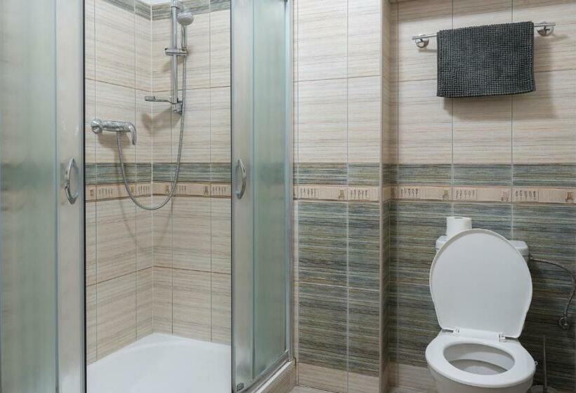 بنسيون Penzion Lihovar