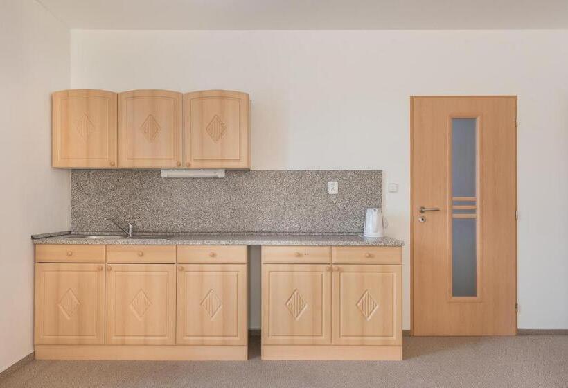 بنسيون Penzion Lihovar