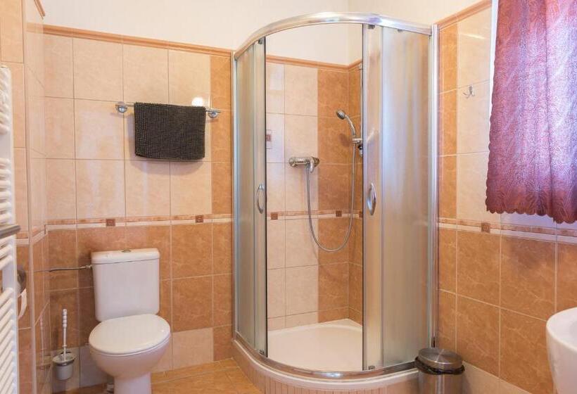 بنسيون Penzion Lihovar