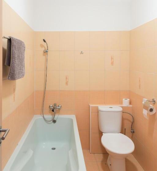 بنسيون Penzion Lihovar