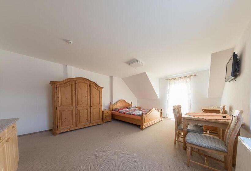 بنسيون Penzion Lihovar