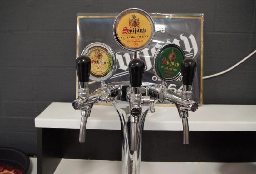 بنسيون Penzion U Soudu