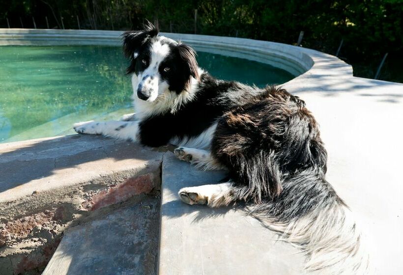 פנסיון Schoemanshoek Glamping