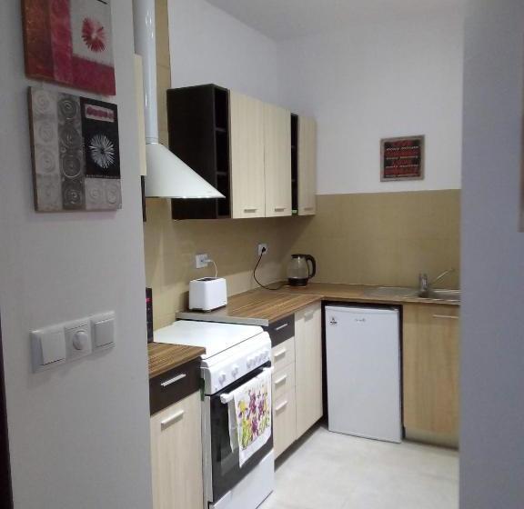 פנסיון Studio Apartment In Palamartsa