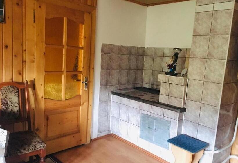 پانسیون U Daryny