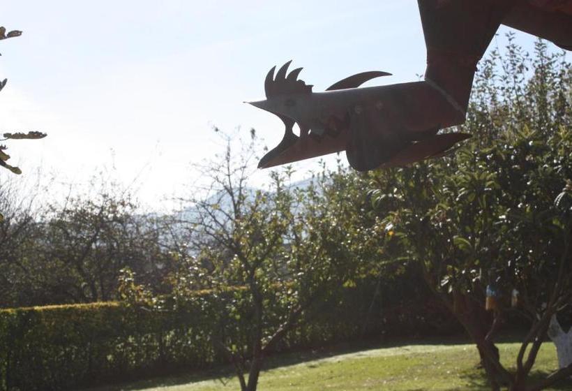 旅馆 Alojamiento Rural San Pedro