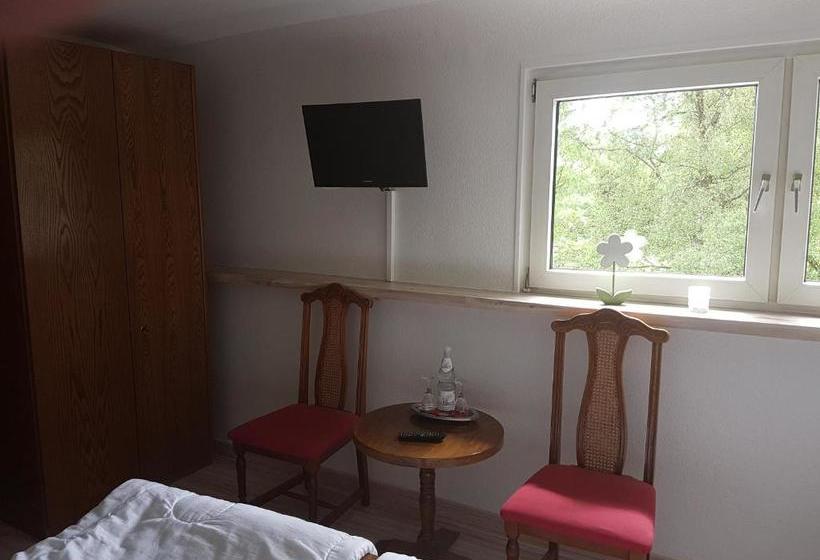 Общежитие Forellenhof Waldhölzbach