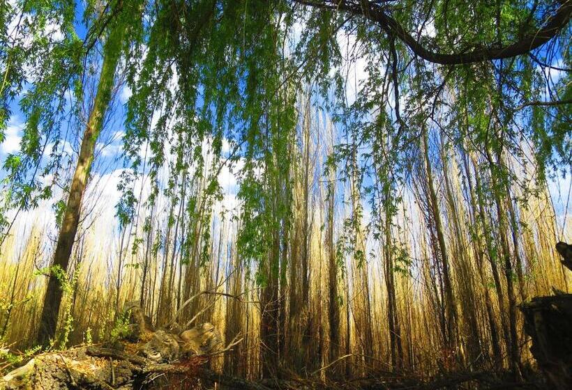 호스텔 La Comarca Del Jarillal