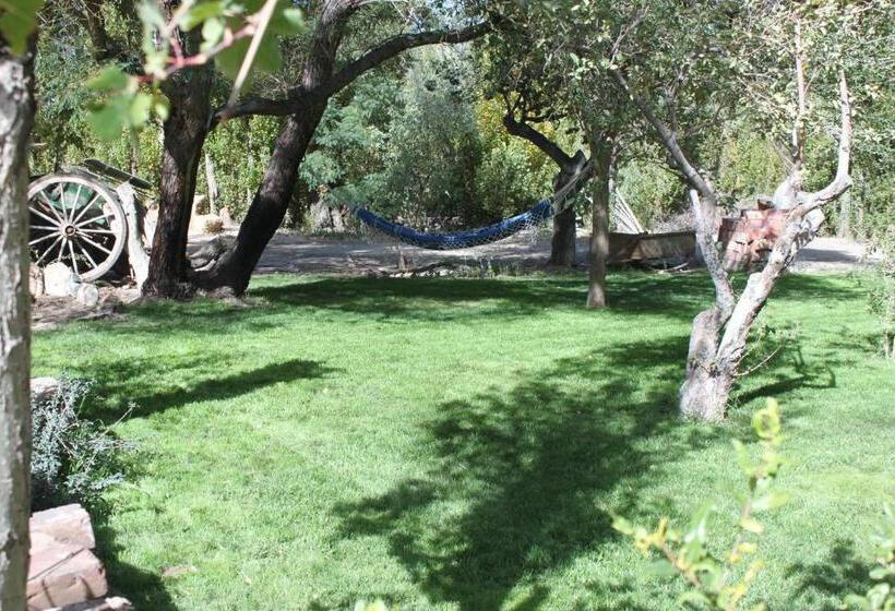 호스텔 La Comarca Del Jarillal