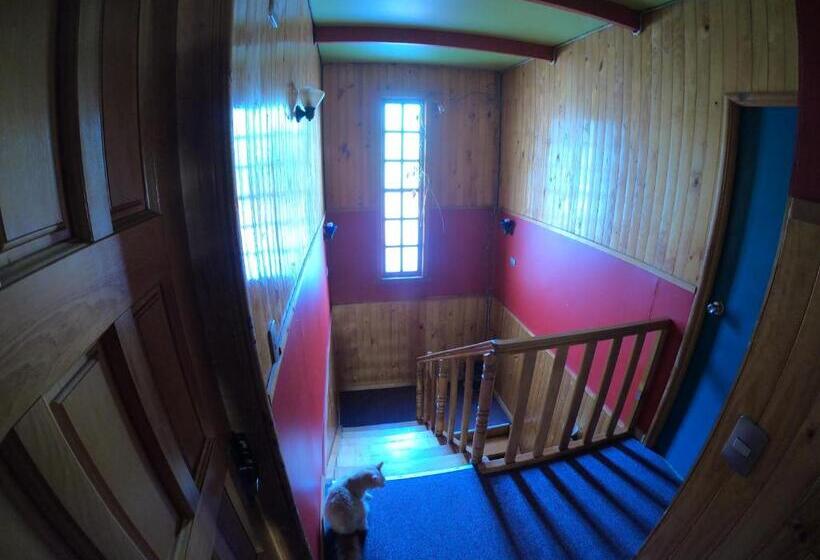 הוסטל Profe Nelson