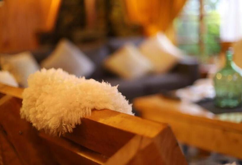 הוסטל Profe Nelson