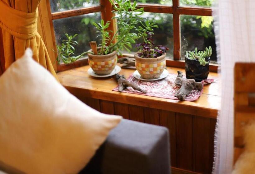 הוסטל Profe Nelson