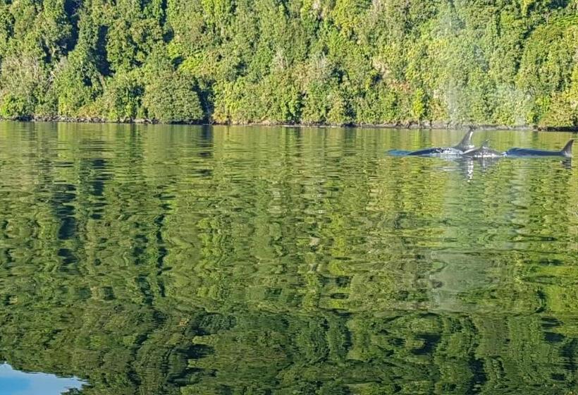 הוסטל Profe Nelson