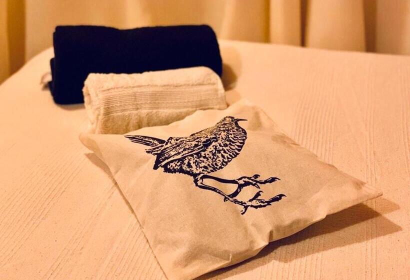 הוסטל Profe Nelson