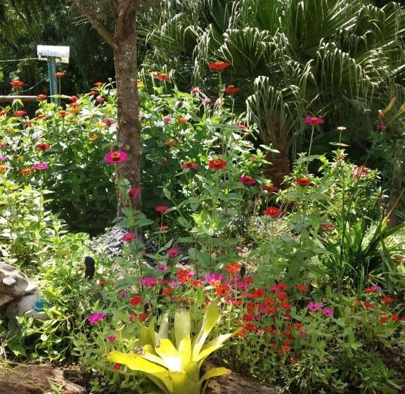 צימר Alojamiento Campestre Cabañas Mirador Ingrumá Riosucio Caldas