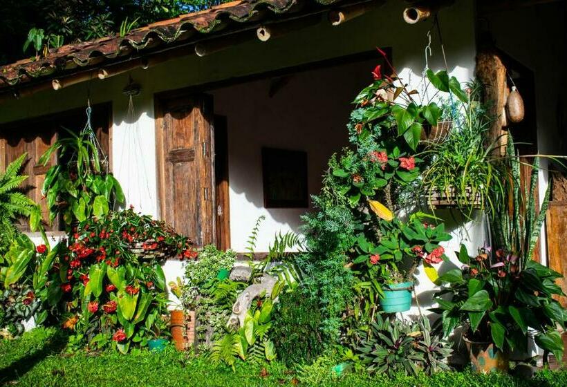 住宿加早餐 Casa El Cedro