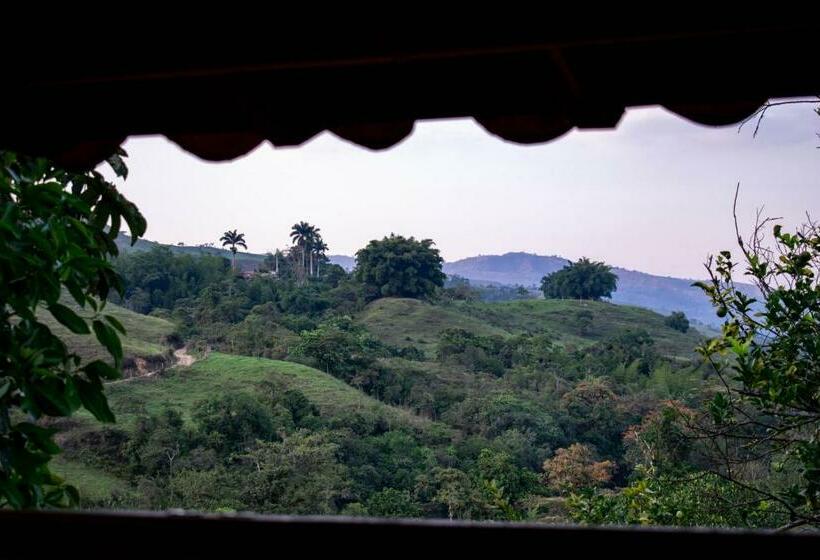 住宿加早餐 Casa El Cedro