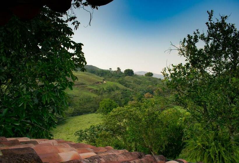 住宿加早餐 Casa El Cedro