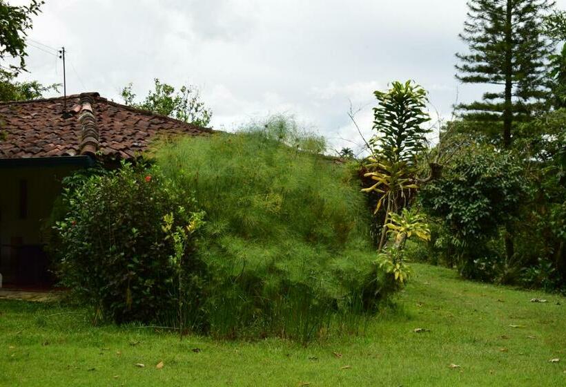 住宿加早餐 Casa El Cedro
