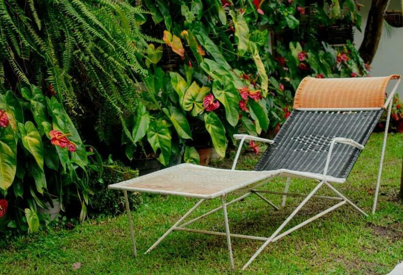 住宿加早餐 Casa El Cedro