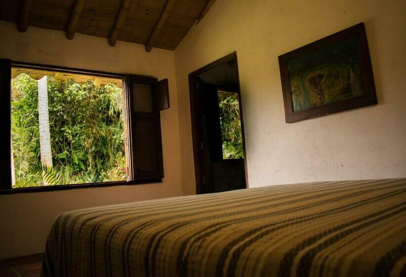 住宿加早餐 Casa El Cedro