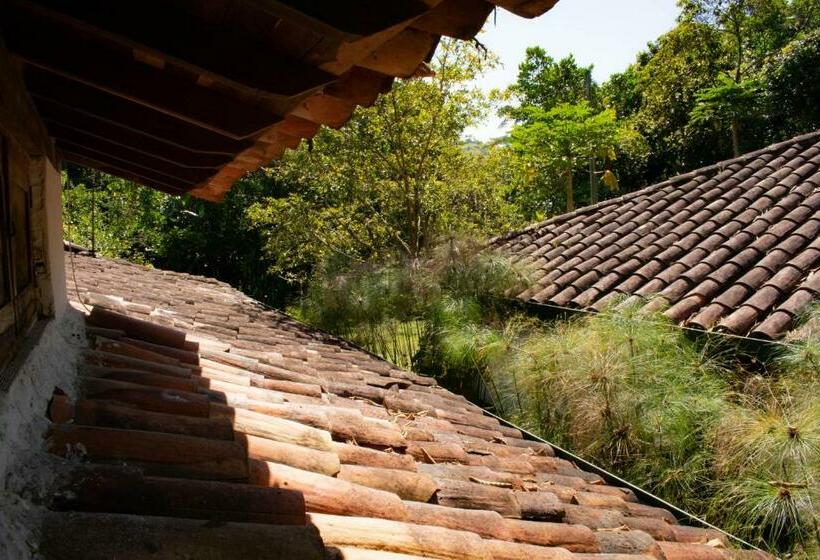 住宿加早餐 Casa El Cedro