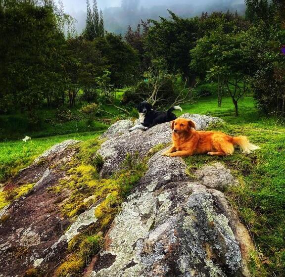 مبيت وإفطار Finca Agrreste