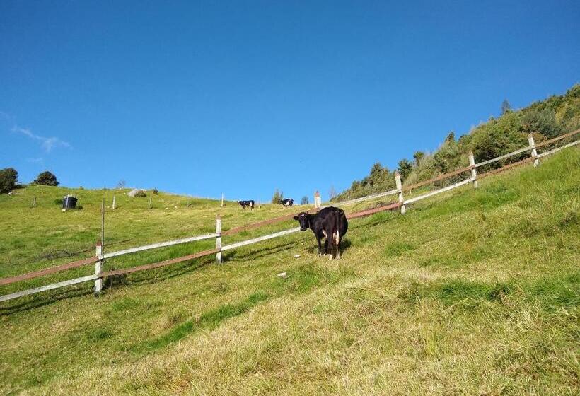 مبيت وإفطار Finca Agrreste