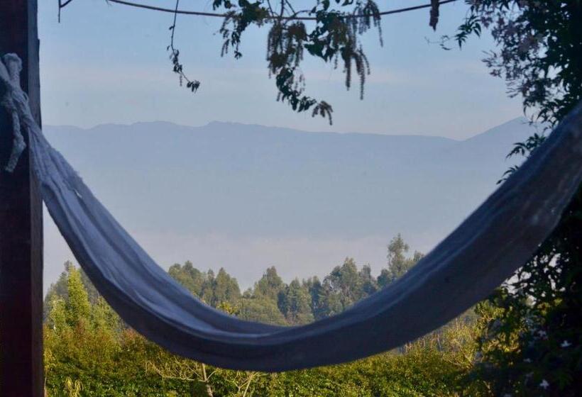 ベッドアンドブレックファースト Finca Agrreste