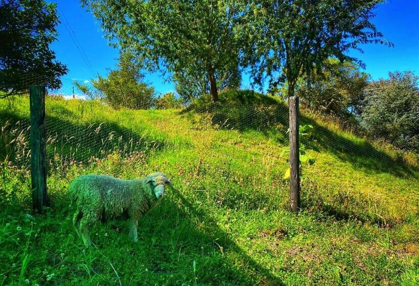 ベッドアンドブレックファースト Finca Agrreste