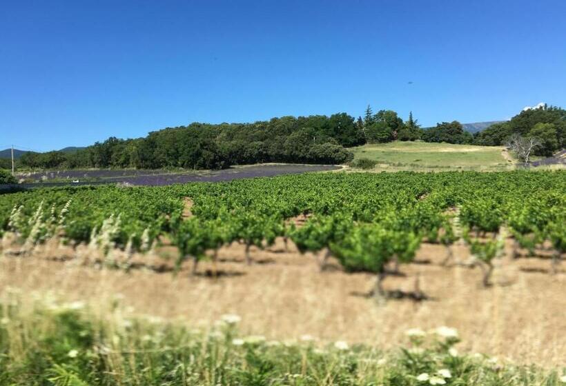 ベッドアンドブレックファースト Jac Soul Restaurant & Chambres D Hotes