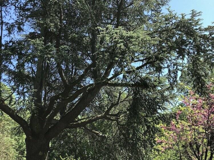 Bed and Breakfast La Villa Rochette