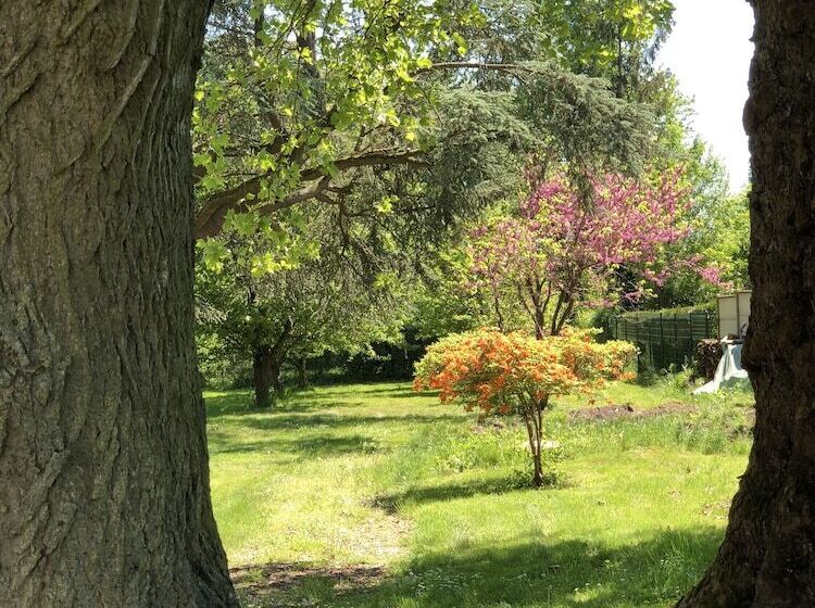 Bed and Breakfast La Villa Rochette