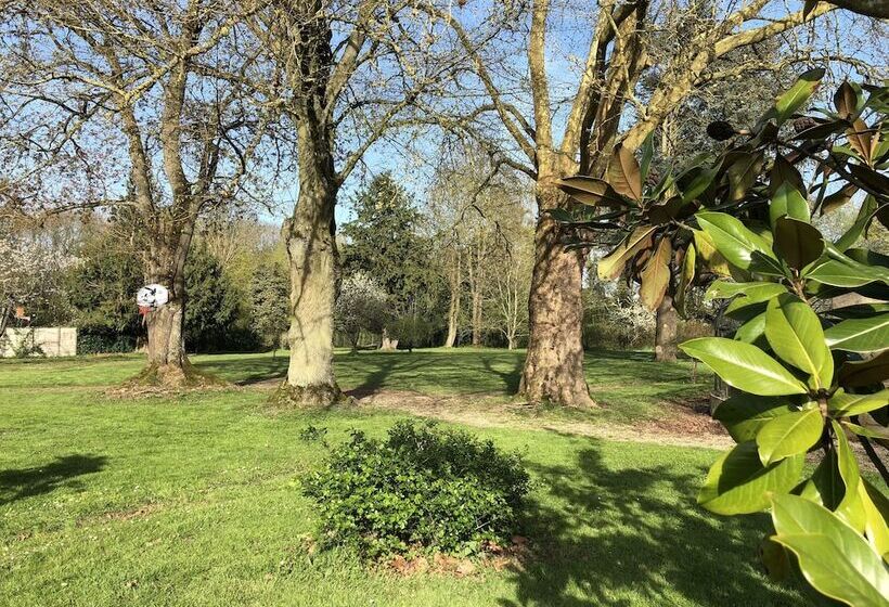 Bed and Breakfast La Villa Rochette