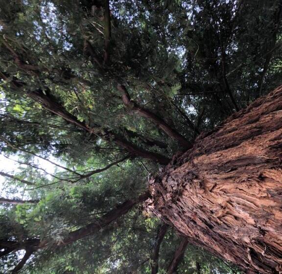 Bed and Breakfast La Villa Rochette