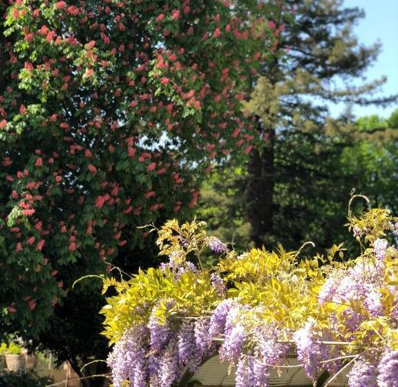 Bed and Breakfast La Villa Rochette