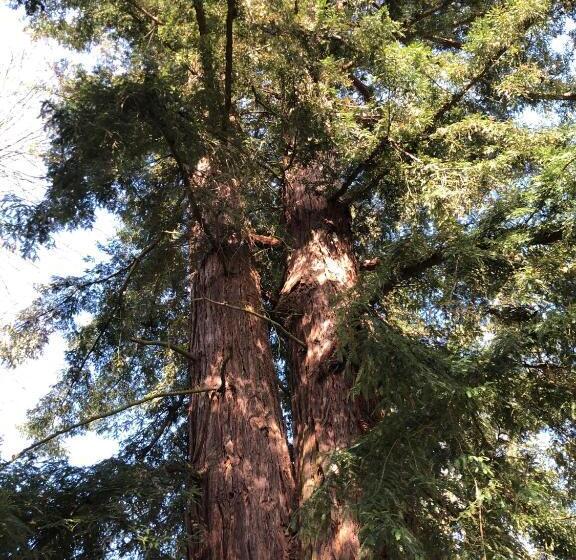 Bed and Breakfast La Villa Rochette