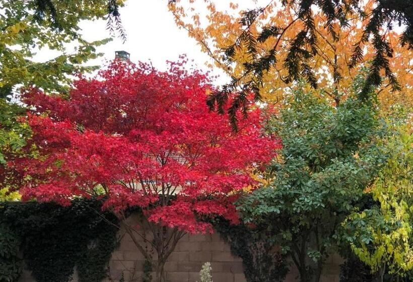 Bed and Breakfast La Villa Rochette