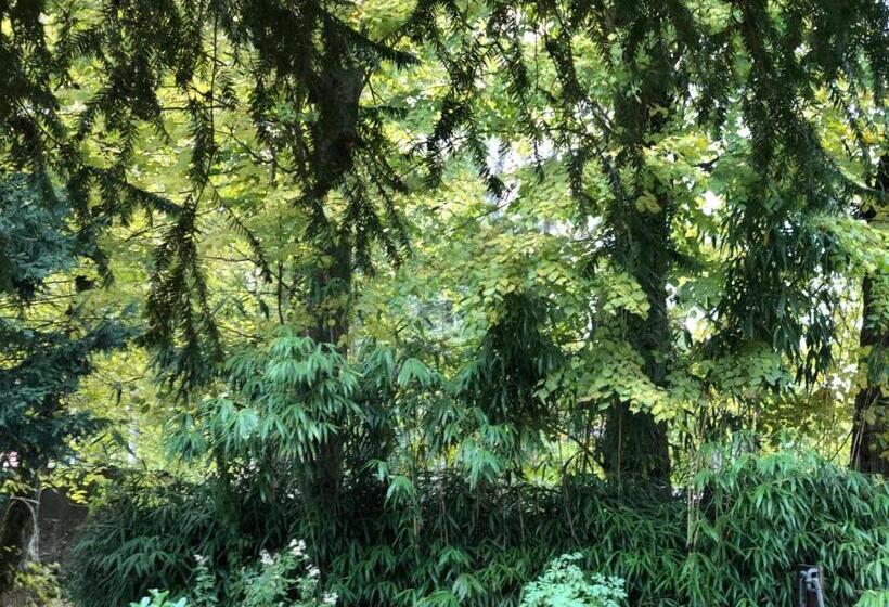 Bed and Breakfast La Villa Rochette