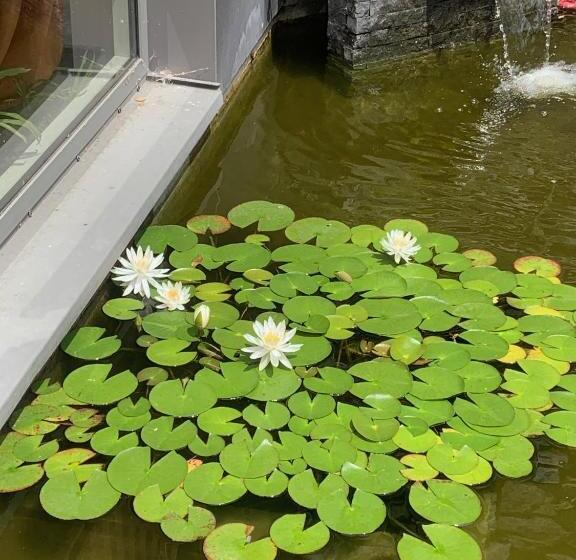 住宿加早餐  Maison D Hôtes La Source Paisible