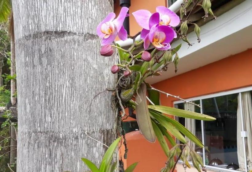 مبيت وإفطار Mediterrâneo