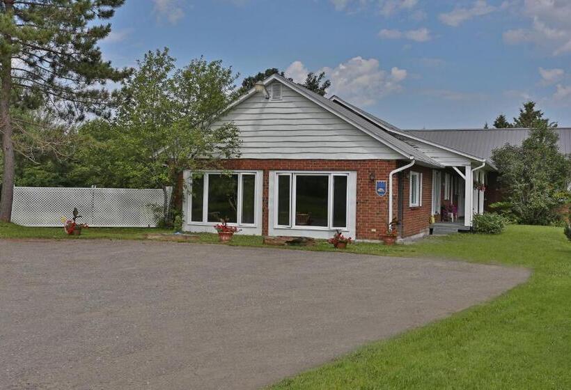 住宿加早餐 Ranch St Hubert