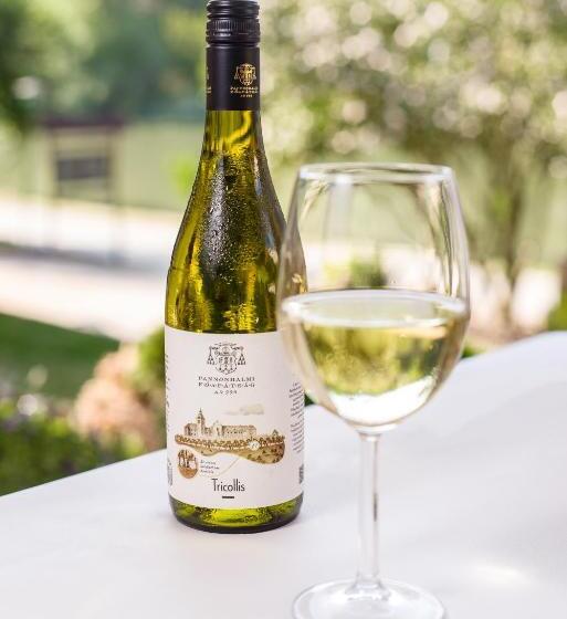 민박 Regia Panzió