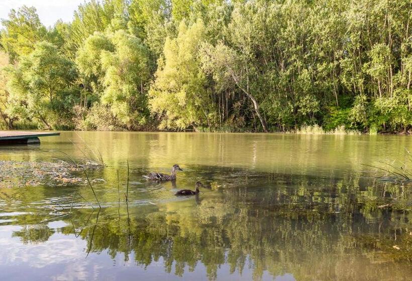 민박 Regia Panzió